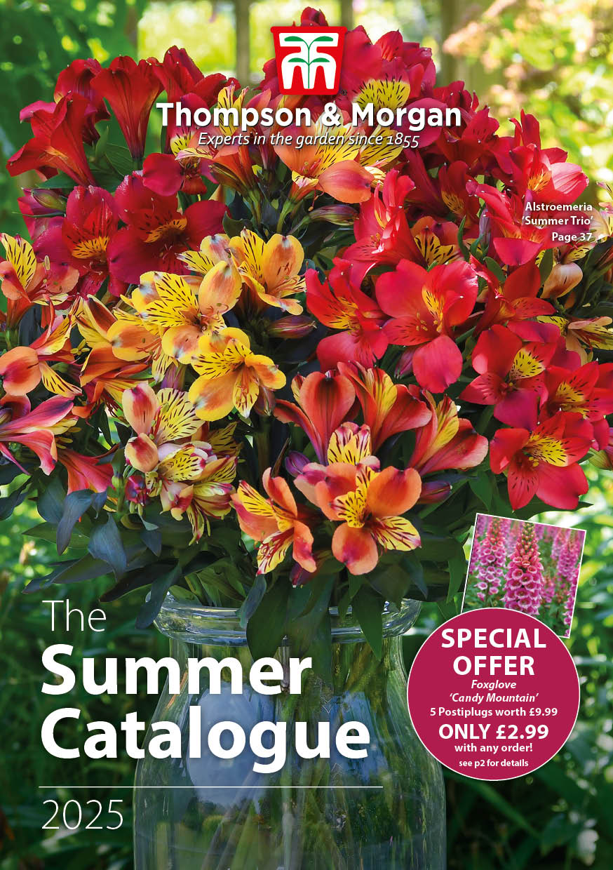 Summer 2023 Catalogue